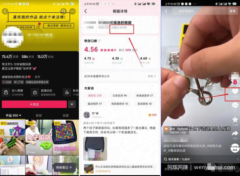 月入1w的益智玩具项目，小赛道稳定收入