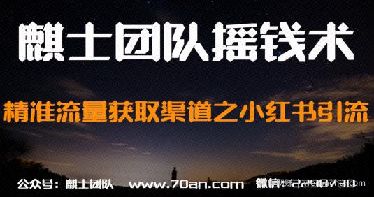 麒士团队摇钱术30：精准流量获取渠道之小红书引流【视频课程】