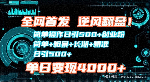 全网首发，简单操作日引500+创业粉，简单+粗暴+长期+精准