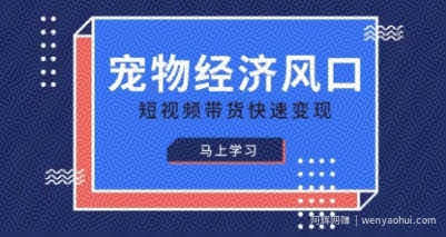 宠物赛道快速变现精品课，宠物经济风口，短视频带货快速变现