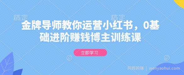 金牌导师教你运营小红书，0基础进阶賺米博主训练课