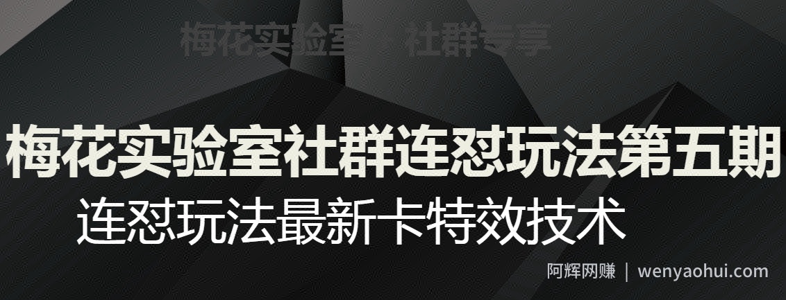 梅花实验室社群连怼玩法第五期，视频号连怼玩法最新卡特效技术
