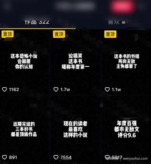 抖音引流变现大法，打造百万粉丝矩阵