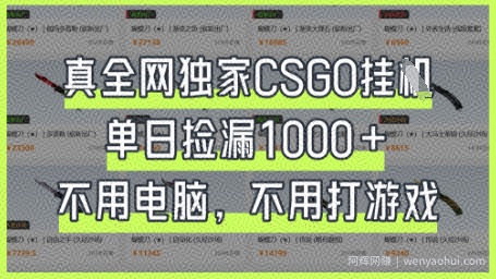 真全网独家CSGO挂G，单日捡漏1k+【揭秘】