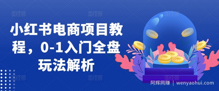 小红书电商项目教程,0-1入门全盘玩法解析