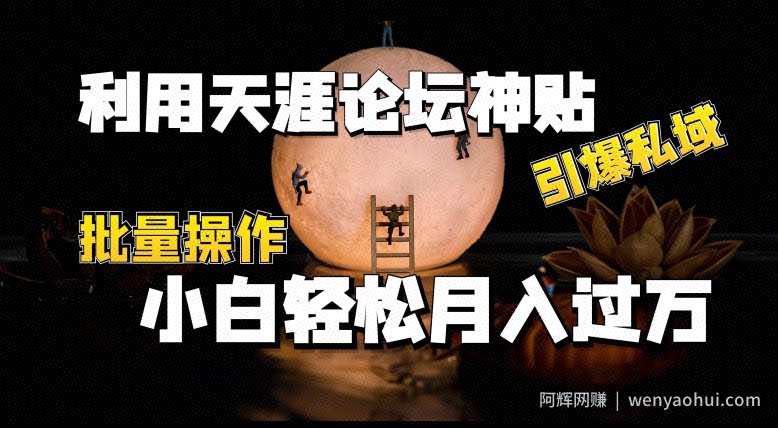 利用天涯论坛神贴，引爆私域，批量操作，小白轻松月入过w【揭秘】