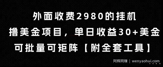 外面收费2980的挂G撸美金项目，单日收益30+美金，可批量可矩阵【揭秘】