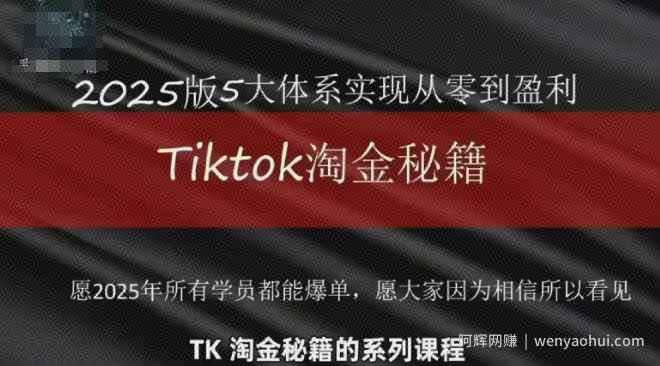 TikTok跨境2025淘金秘籍，​2025TikTok从0到盈利变现