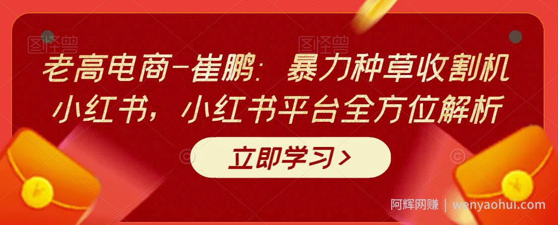老高电商-崔鹏：暴力种草收割机小红书，小红书平台全方位解析