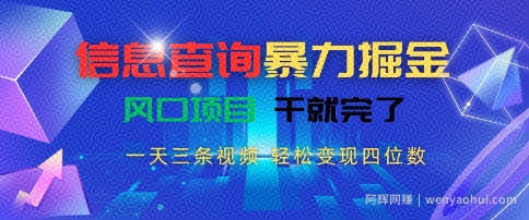 信息查询暴力掘金，一天三条视频，轻松变现四位数，风口项目干就完了【揭秘】