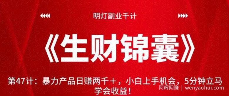 明灯副业千计—《生财锦囊》第47计：暴力产品日赚两千＋，小白上手机会，5分钟立马学会收益！【视频课程】