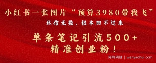 小红书一张图暴力引流500+精准创业粉