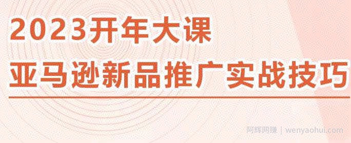 2023亚马逊新品推广实战技巧，线下百万美金课程的精简版，简单粗暴可复制，实操性强的推广手段