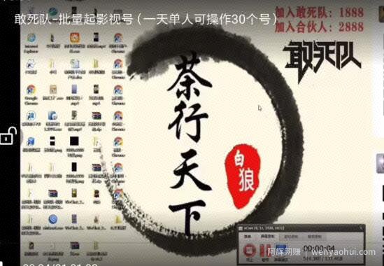 白狼敢死队6月2号最新抖音短视频批量起影视号（一天单人可操作30个号）视频课程