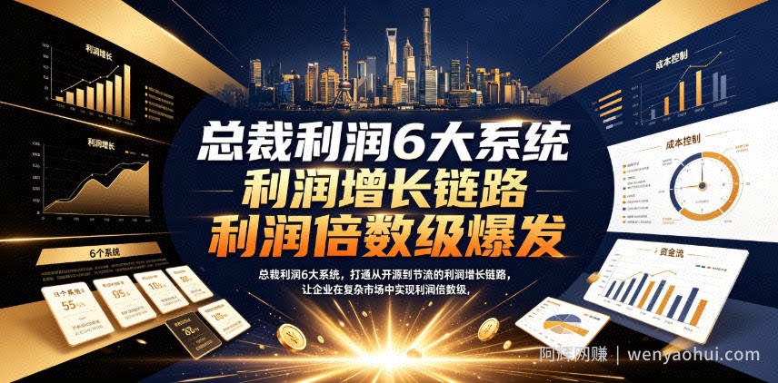 总裁利润6大系统，打通从开源到节流的利润增长链路，让企业在复杂市场中实现利润倍数级爆发
