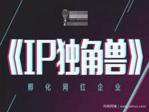 IP独角兽，孵化网红企业，ip教程