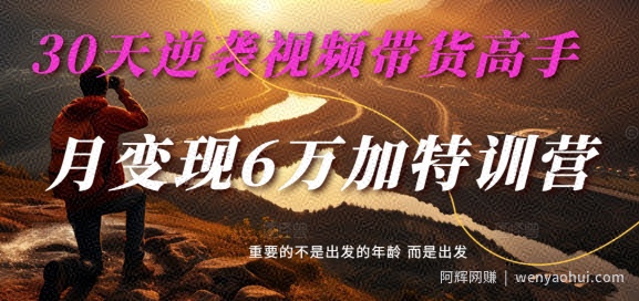 30天逆袭视频带货高手，单月变现6万加特训营-麦子甜