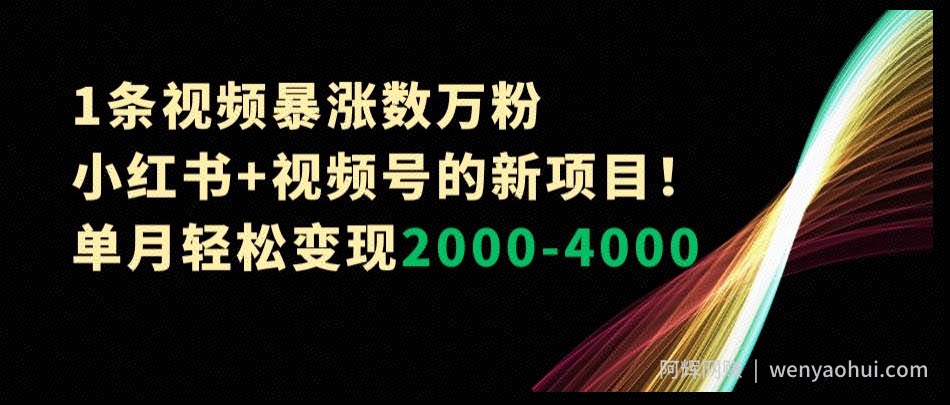 1条视频暴涨数万粉--小红书+视频号的新项目！单月轻松变现2000-4000【揭秘】