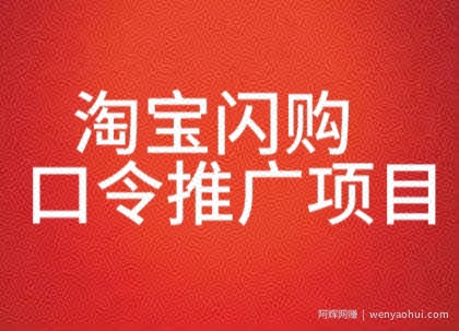 淘宝闪购口令推广项目，收益可观，一部手机，一个抖音号即可操作