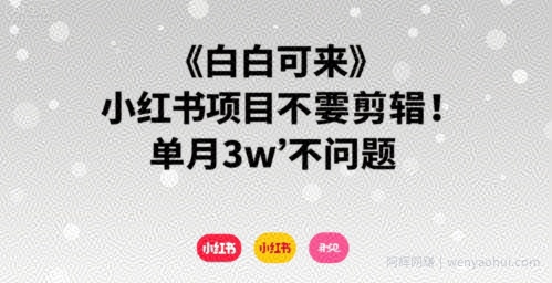 小白可来 小红书项目不需要剪辑 单月3w不是问题