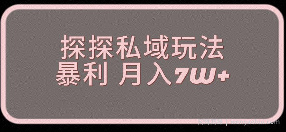 探探最新的私域玩法非常厉害操作简单，聊聊天就能有收入