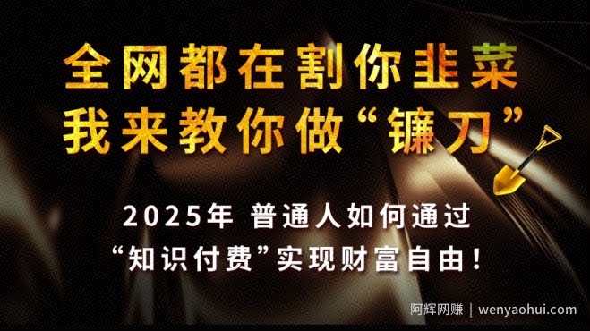 全网都在割你韭菜，我来教你做镰刀,2025普通人如何通过知识付费，实现财F自由【揭秘】