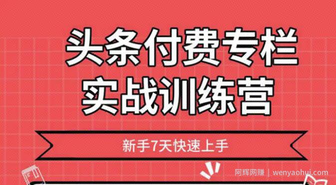 2020头条付费专栏实战训练营，新手7天快速上手 完结