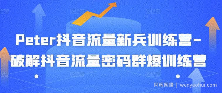 Peter抖音流量新兵训练营-破解抖音流量密码群爆训练营（新兵）