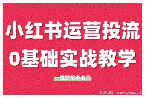 小红书运营投流，小红书广告投放从0到1的实战课，学完即可开始投放（更新26年）