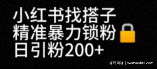 小红书找搭子暴力精准锁粉+引流日引200+精准粉