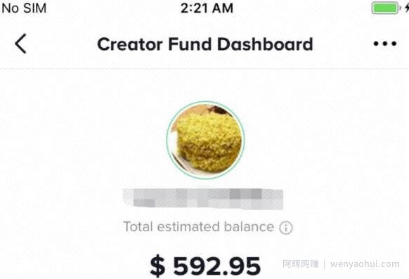 手把手教你普通人如何玩转Tiktok，一个月赚了592美金！