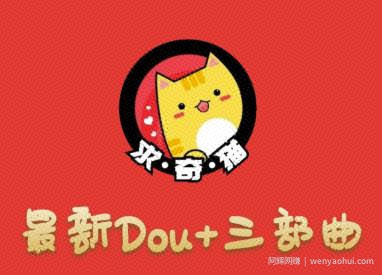 求奇猫最新DOU+三部曲，逆向思维选择商品+包装产品+简单起号（课程+素材）