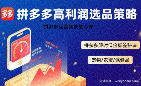 拼多多选品暴利技术实战课，拼多多高利润选品策略，拼多多限时低价标签秘诀
