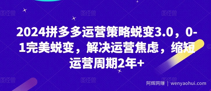 2024拼多多运营策略蜕变3.0，0-1完美蜕变，解决运营焦虑，缩短运营周期2年+