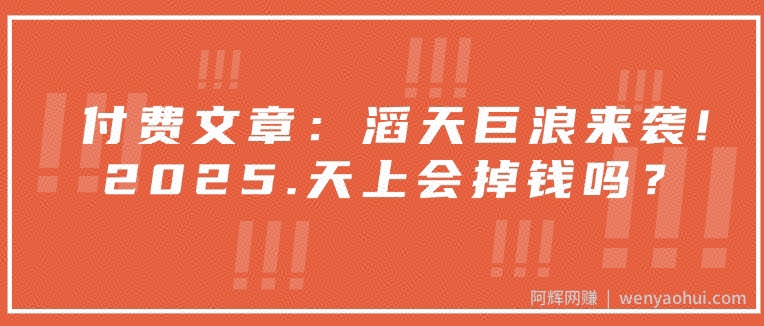 付费文章：滔天巨浪来袭！2025天上会掉钱吗？