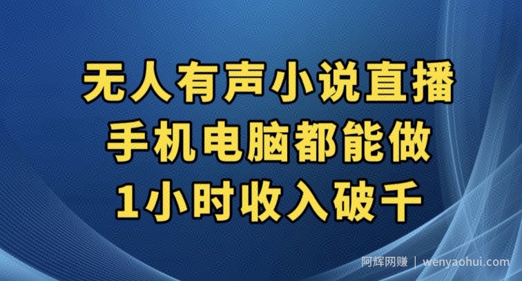 抖音无人有声小说直播，手机电脑都能做，1小时收入破千【揭秘】