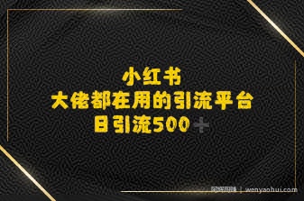 小红书,大佬都在用的大粉平台,日引流500+