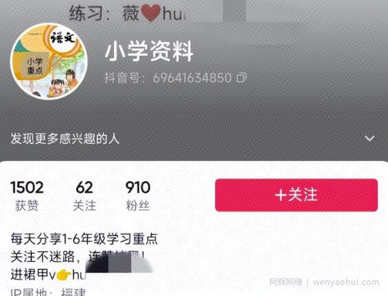 特别适合新手的实操项目，资料号引流实操变现