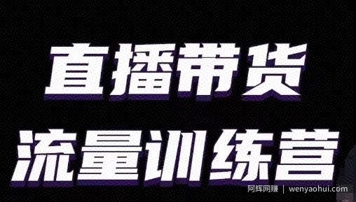 直播带货流量训练营，小白主播必学直播课