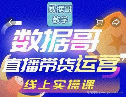 数据哥直播带货运营线上进阶课，让普通人也能靠直播賺米!