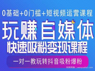 0基础+0门槛+短视频运营课程，玩赚自媒体快速吸粉变现课程，一对一教玩转抖音吸粉爆粉