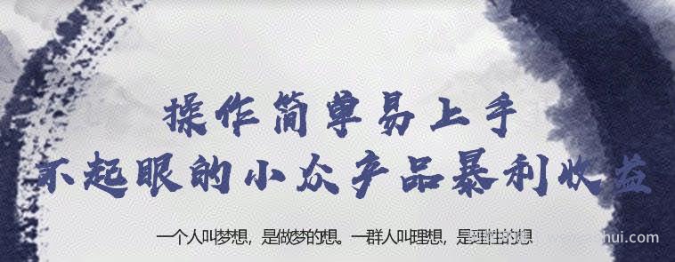 忠余网创32计第十七计：操作简单易上手不起眼的小众产品暴利收益【视频课程】