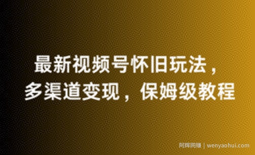 最新视频号怀旧玩法，多渠道变现，保姆级教程