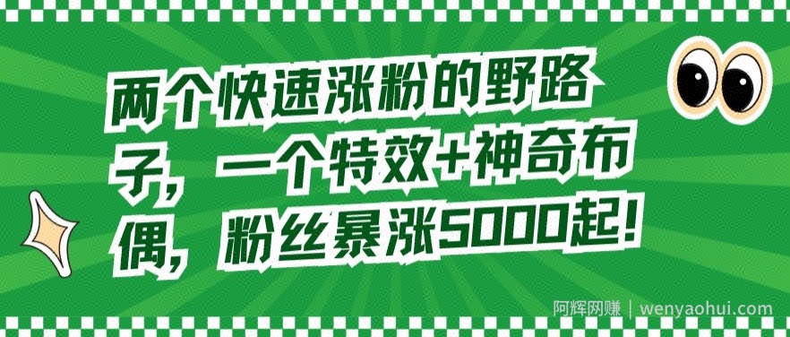 两个快速涨粉的野路子，一个特效+神奇布偶，粉丝暴涨5000起【揭秘】
