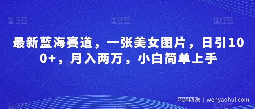 最新蓝海赛道，一张美女图片，日引100+，月入两万，小白简单上手