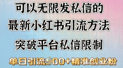 最新“摆烂式”引流打法，小红书私信引流，单天引流100+