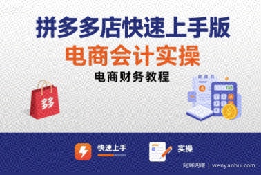 拼多多店快速上手版电商会计实操-电商财务教程