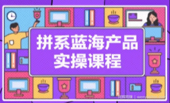 拼系冷门蓝海产品实操课程，从注册店铺到选品上架到流量维护环环相扣
