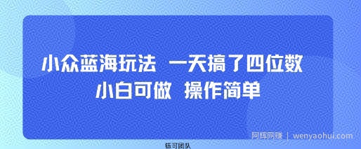 小众蓝海玩法 一天搞了四位数 小白可做 操作简单