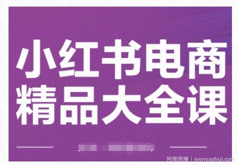 小红书电商精品大全课，快速掌握小红书运营技巧，实现精准引流与爆单目标，轻松玩转小红书电商(更新2月)